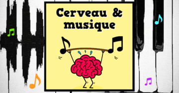 cerveau musique